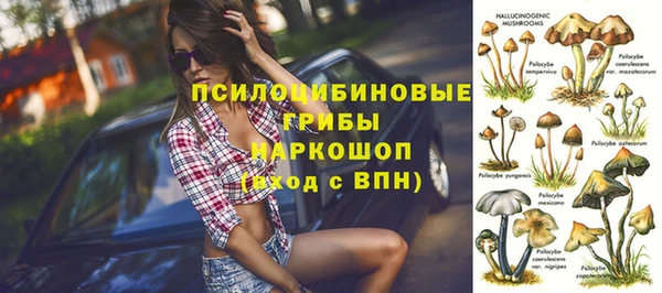 скорость Няндома