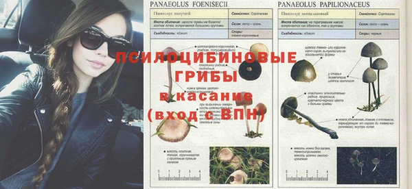 скорость Няндома