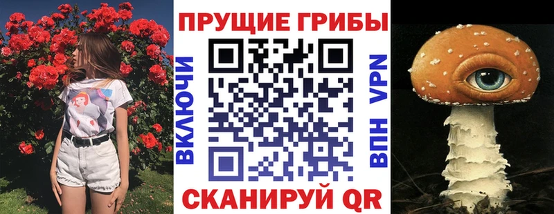 Галлюциногенные грибы Psilocybe Конаково