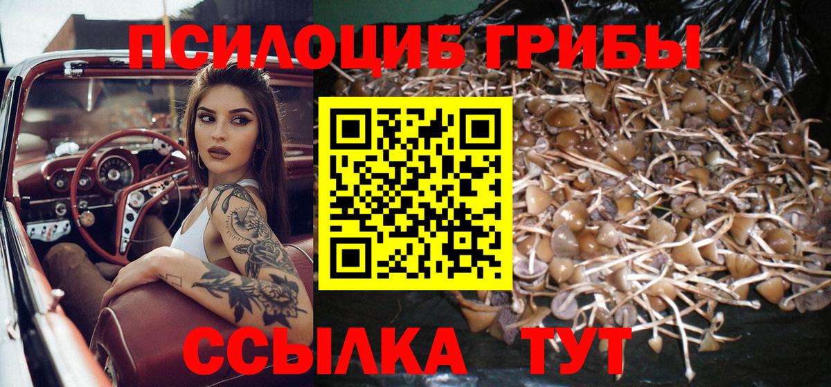 Псилоцибиновые грибы MAGIC MUSHROOMS  Псилоцибиновые грибы GOLDEN TEACHER  Вход с VPN  Конаково 